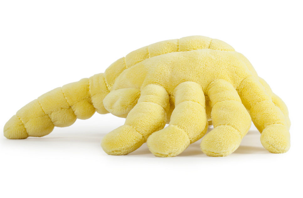 facehugger plush amazon
