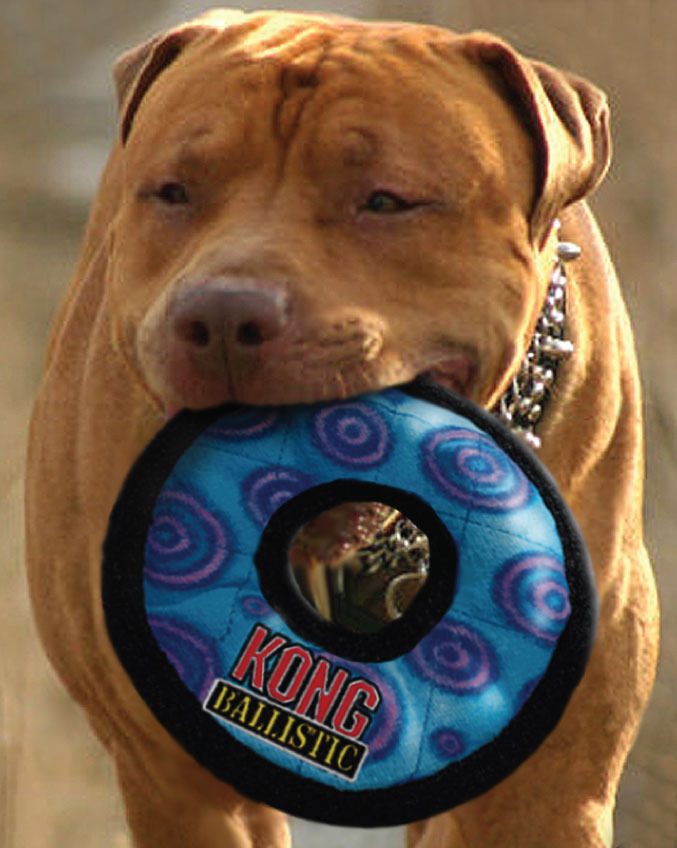 Kong ballistic ring hotsell