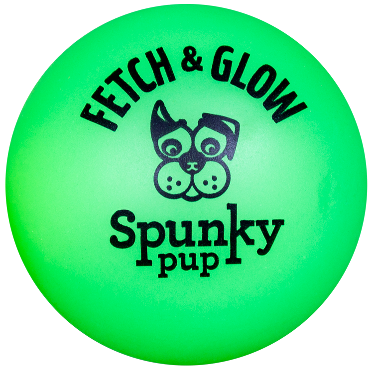 Fetch & Glow Ball Dog Toy By Spunky Pup - Large - New, With Tags