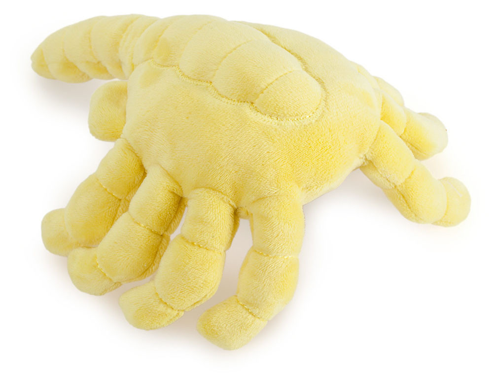 xenomorph alien plush
