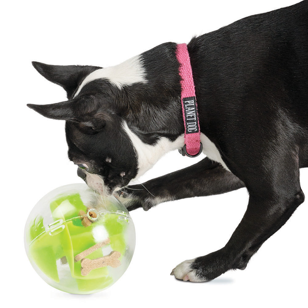 Planet Dog Orbee Tuff Mazee, dog toy