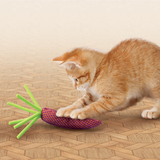 kong nibble carrot