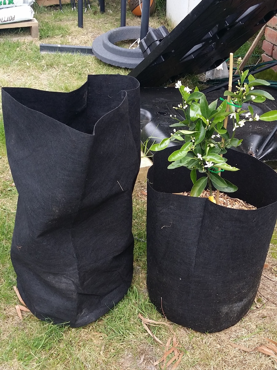 78L Root Pouch noir Géotextile Smart grow Pot déco jardin fleurs container 