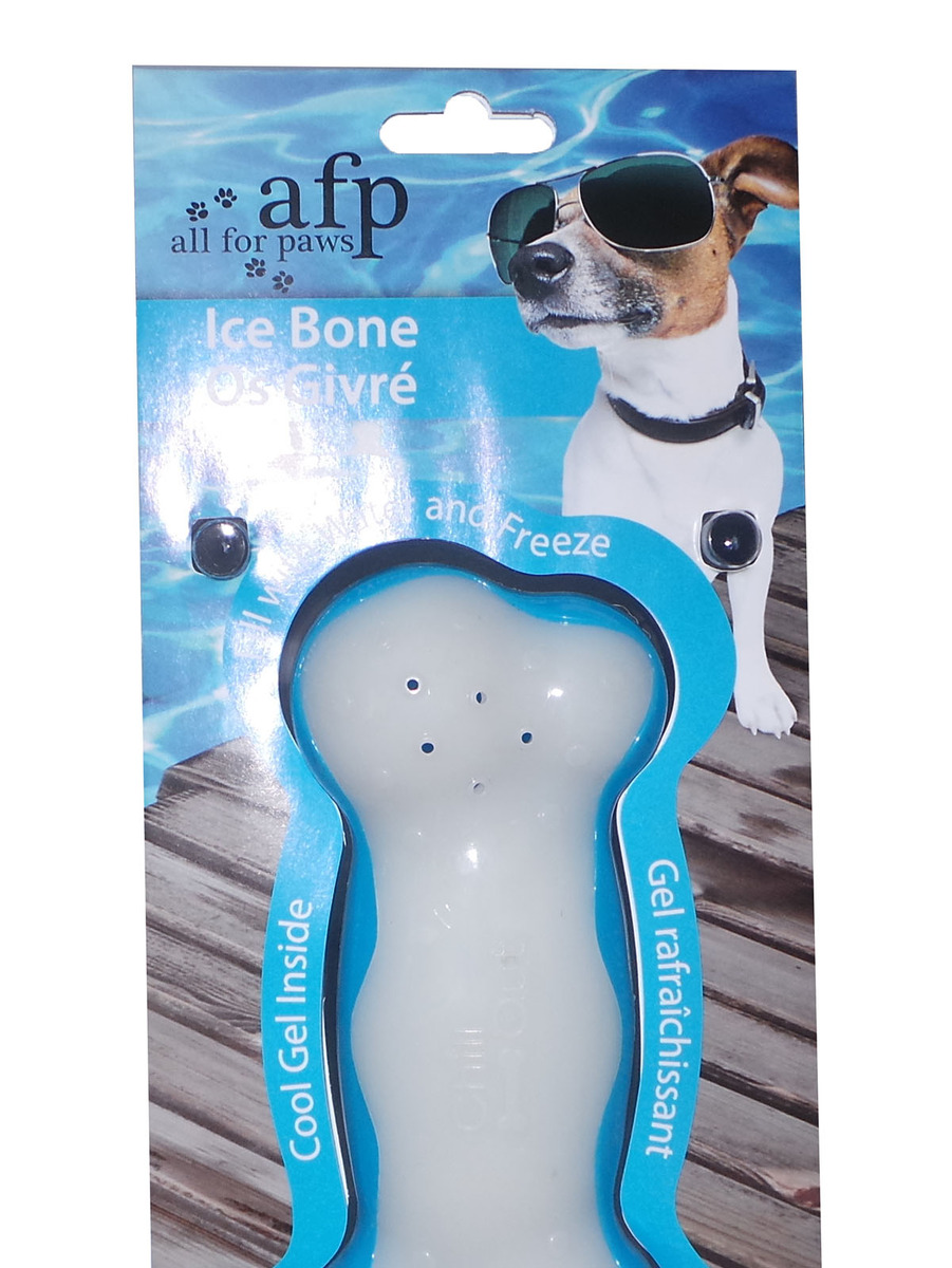 All For Paws AFP Chill Out Ice Bone Cold Dog Puppy Chew Toy Small Large 