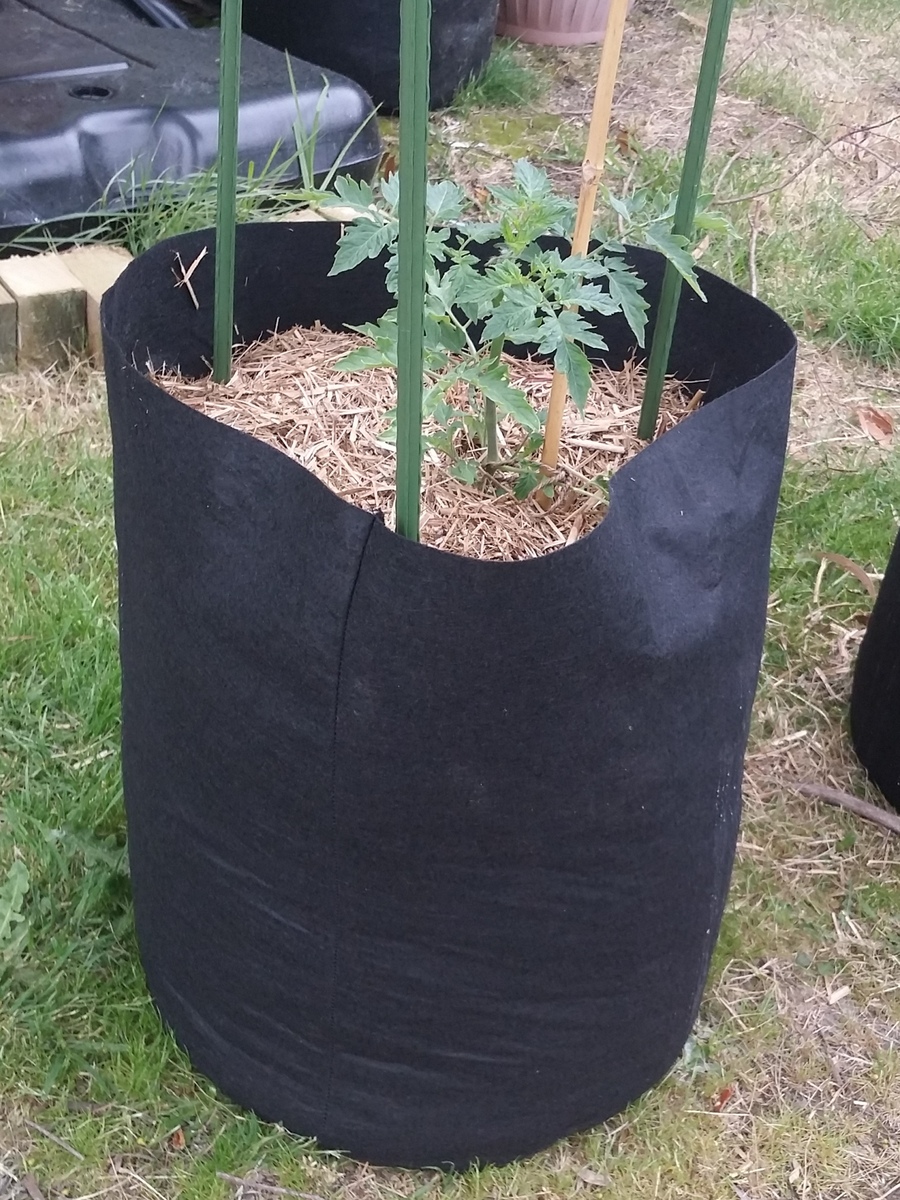 Hydroponics Fabric Root Pots For Smart Plants Grow Pot Bags 1-20 Gallon Gray uk 