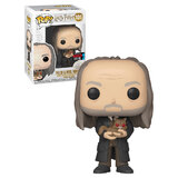Funko POP! Harry Potter #101 Filch & Mrs Norris - Funko 2019 New York Comic Con (NYCC) Limited Edition - New, Mint Condition