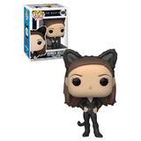 Funko POP! Television Friends #1069 Monica as Catwoman Pop!  - New, Mint Condition