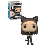 Funko POP! Television Friends #1069 Monica Geller As Catwoman - New, Mint Condition