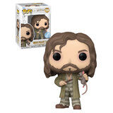 Funko POP! Harry Potter  #159 Sirius Black With Wormtail - New, Mint Condition