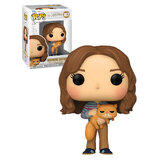 Funko POP! Harry Potter And The Prisoner Of Azkaban #167 Hermione Granger With Crookshanks - New, Mint Condition
