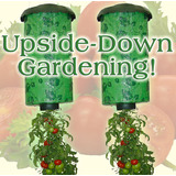 Upside Down Tomato Planter X 2