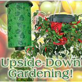 Upside Down Combo - Tomato and Chilli Planters