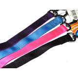 Paw Culture Dog Lead/Leash - Various Colours & Sizes