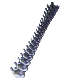 Supportive Solutions Spine Jewellery Hanger - One Size Silver/Violet - New, Handmade