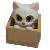 Supportive Solutions The 'If I Fits' Haptic Fidget Box Sensory Fidget Set Multi-coloured - New, Handmade