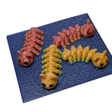 Supportive Solutions Caterpillars Magnet Set - Set Of 4 Multi-coloured - New, Handmade