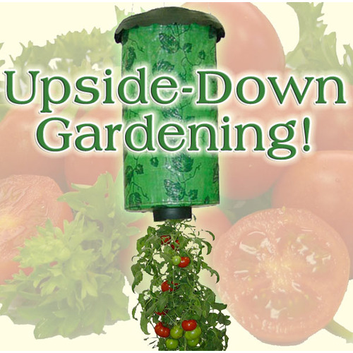 Upside Down Tomato Planter
