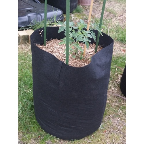 Fabric Grow Pots Planter Bags - Smart Plant Root Aeration Container - Black -Various Sizes [Volume: 11 Litre]
