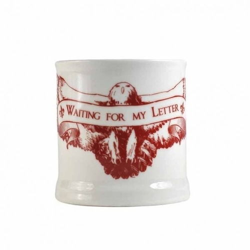Half Moon Bay Wizarding World Harry Potter 'Waiting For My Letter' Mug - New In Package
