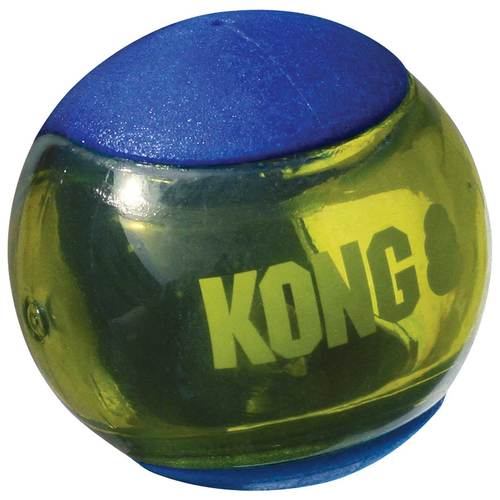 what to put in a kong ball