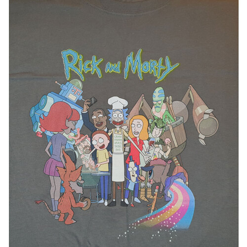 Rick And Morty Cast Shirt Grey - Mens T-Shirt - New With Printed Tag [Size: Large]