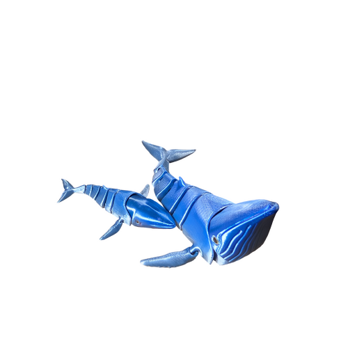 Supportive Solutions 3D Printed Articulated Humpback Whales, Set Of Two Flexible Figure - New, Handmade (Colour:Silver/Blue)