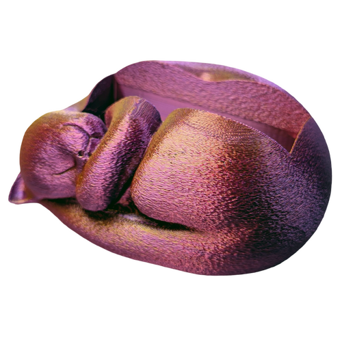 Supportive Solutions Sleeping Cat Business Card Holder Red/Gold/Purple - New, Handmade