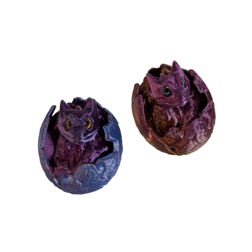 Supportive Solutions Dragon Hatchlings Magnet Set - Set Of 2 Multi-coloured - New, Handmade